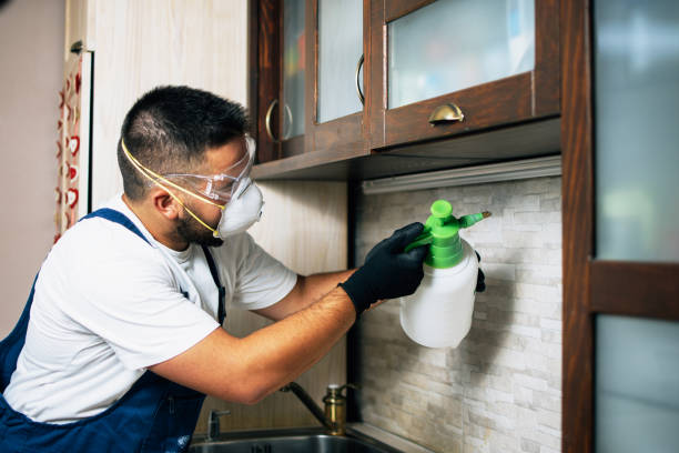 Professional Pest Control in Selah, WA