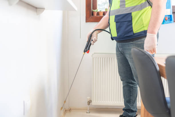 Wasp Removal Services in Selah, WA